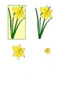 Daffodil Decoupage