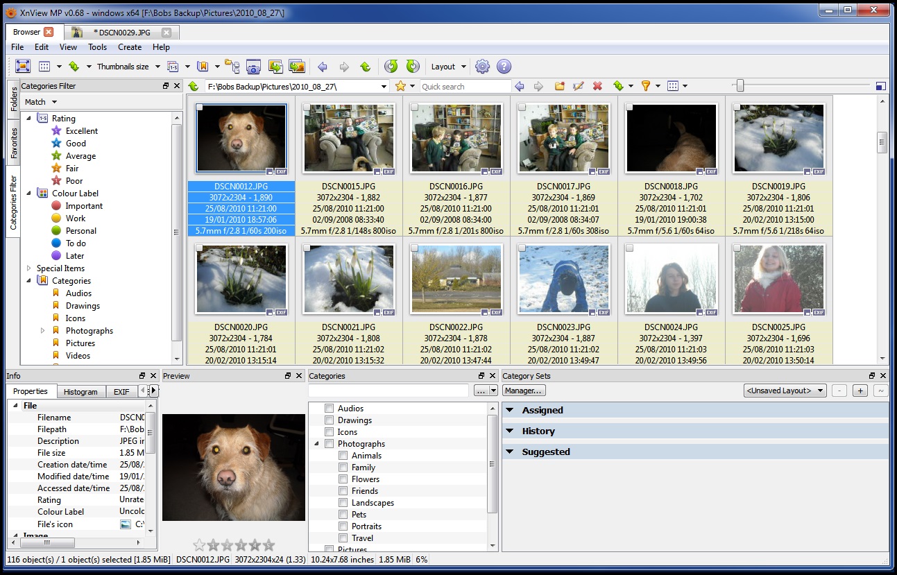 XnViewMP Media Browser Viewer and Coverter