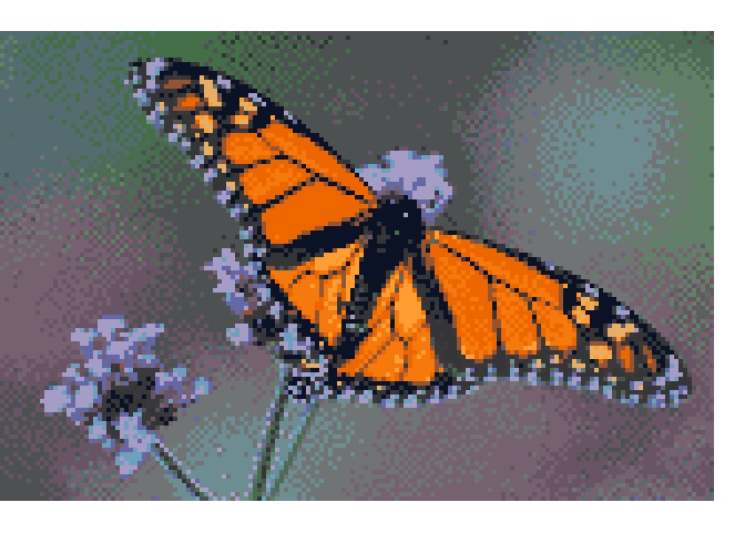 Butterfly 2.