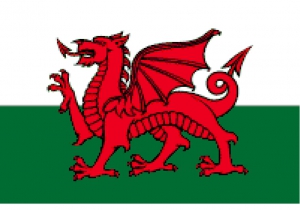 Welsh Dragon.
