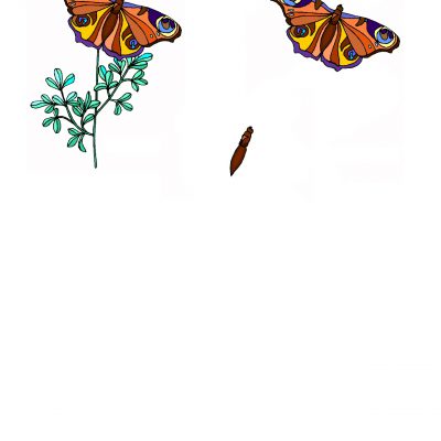 butterfly_decoupage1
