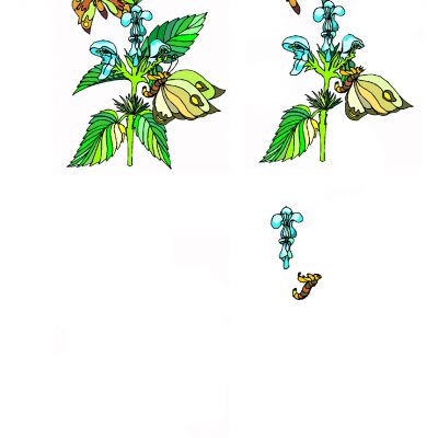 butterfly_decoupage2