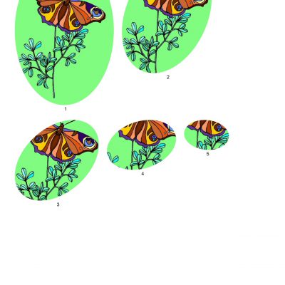butterfly001_2