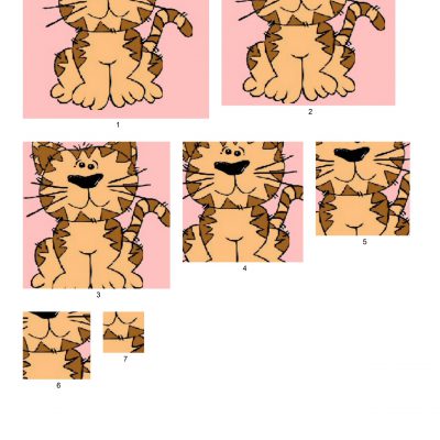 cat001