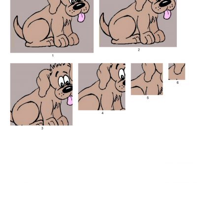 cute_puppy003
