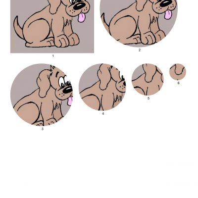 cute_puppy006