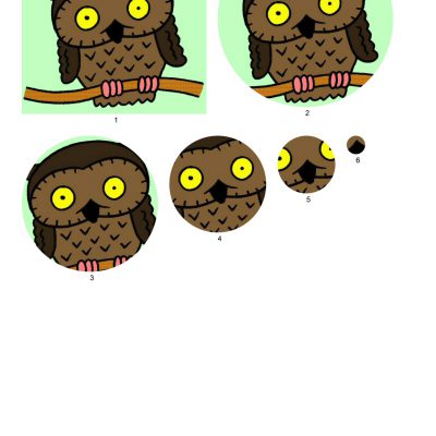 owl_001