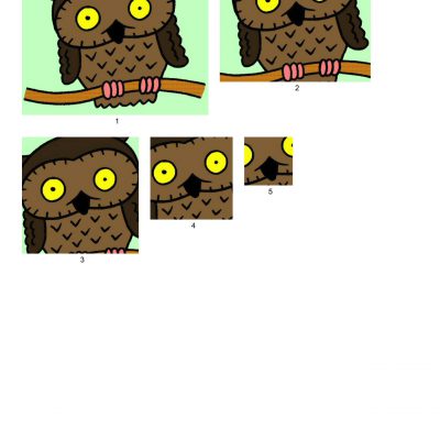 owl_003