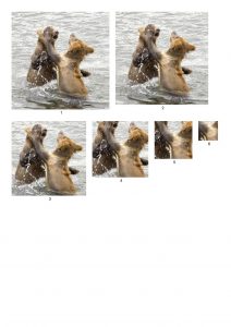 Bear Pyramid Papers.