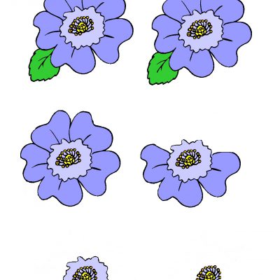 Blue_flower